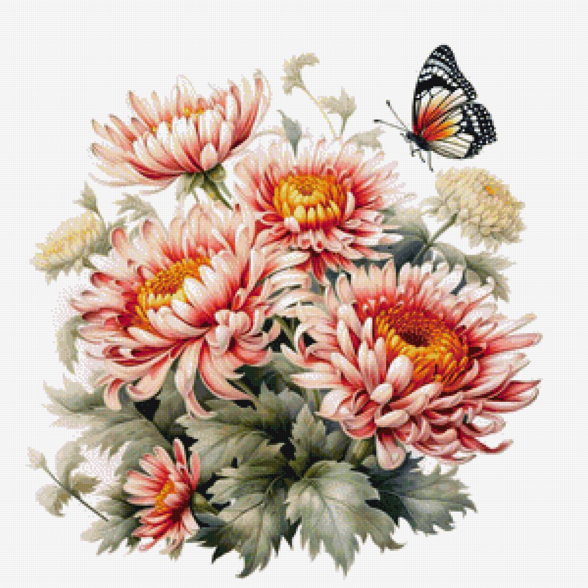 Хризантемы и бабочка - бабочка, цветы, хризантемы - предпросмотр