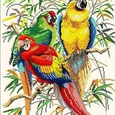 Оригинал схемы вышивки «попугаи» (№2776781)