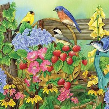 Схема вышивки «птицы, сад, цветы»
