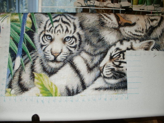 Этап процесса «Белые тигры»