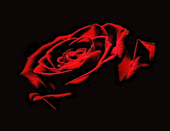 Этап процесса «Красная роза»