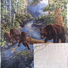 Процесс «Медвежий край»