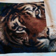 Процесс «Шикарный тигр»