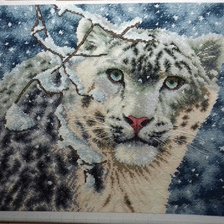 Процесс «Снежный леопард»