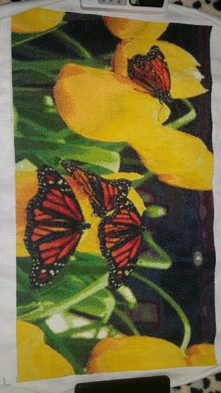 Этап процесса «Бабочки и тюльпаны»