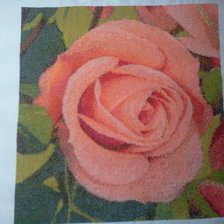 Процесс «ГК 450 Розовая роза»