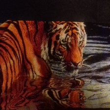 Процесс «тигр в воде»