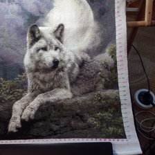 Процесс «Волк под луной»