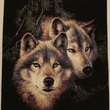 Процесс «пара волков»