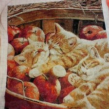 Процесс «Котята в яблоках»