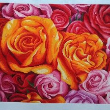 Процесс «Цветные розы»