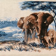 Процесс «Слоны в Саванне»
