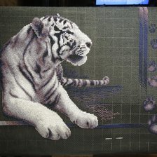 Процесс «Белый тигр»